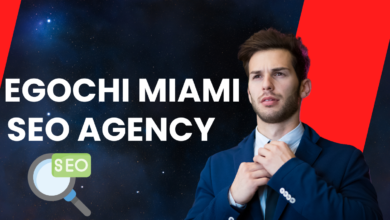 egochi miami seo agency