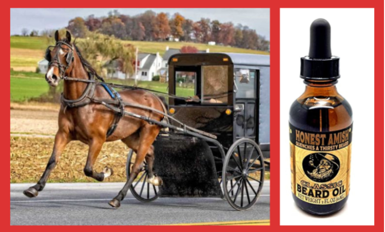 amish oil change